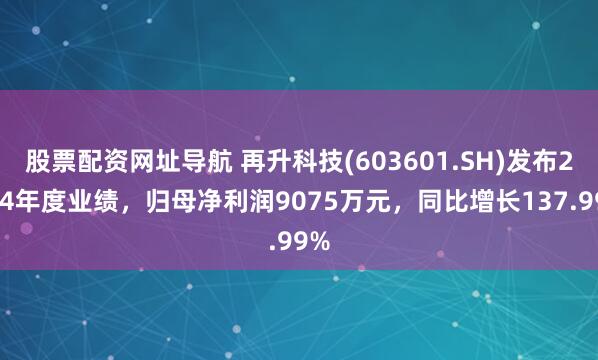 股票配资网址导航 再升科技(603601.SH)发布2024年度业绩，归母净利润9075万元，同比增长137.99%