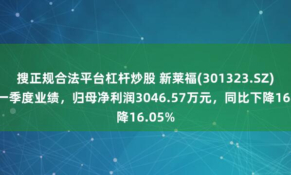 搜正规合法平台杠杆炒股 新莱福(301323.SZ)发布一季度业绩，归母净利润3046.57万元，同比下降16.05%
